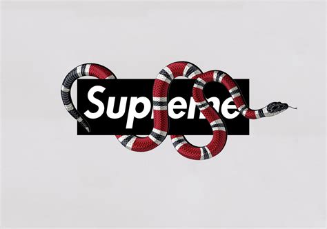 Gucci X Supreme Logo 